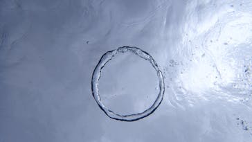 ダイビングショップ Sea Free（シーフリー）に投稿された画像（2020/2/10）