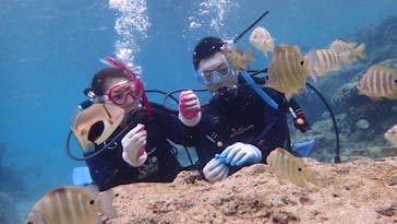 ダイビングショップ Sea Free（シーフリー）に投稿された画像（2020/2/10）