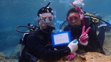 ダイビングショップ Sea Free（シーフリー）に投稿された画像（2020/2/10）