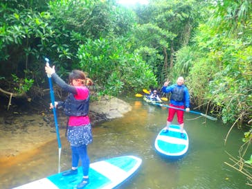 西表島 ADVENTURE PiPi（アドベンチャーピピ）に投稿された画像（2020/2/10）