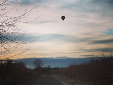 ウイニングバルーンクラブに投稿された画像（2020/2/10）