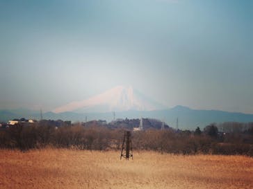 ウイニングバルーンクラブに投稿された画像（2020/2/10）