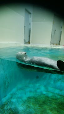 鳥羽水族館に投稿された画像（2020/2/10）
