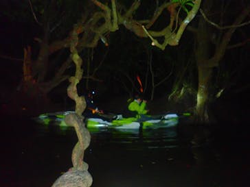 西表島 ADVENTURE PiPi（アドベンチャーピピ）に投稿された画像（2020/2/10）