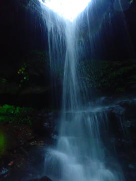 西表島 ADVENTURE PiPi（アドベンチャーピピ）に投稿された画像（2020/2/10）