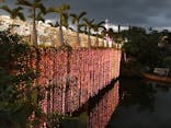 美らヤシパークオキナワ・東南植物楽園に投稿された画像（2020/2/11）