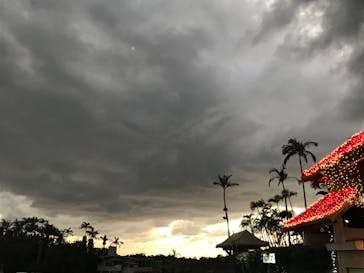 美らヤシパークオキナワ・東南植物楽園に投稿された画像（2020/2/11）