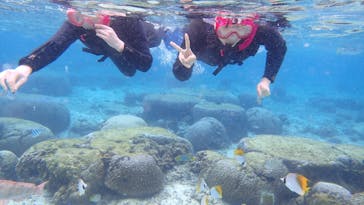 ダイビングショップ Sea Free（シーフリー）に投稿された画像（2020/2/11）