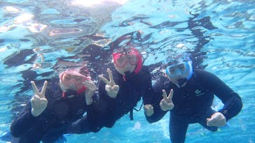 ダイビングショップ Sea Free（シーフリー）に投稿された画像（2020/2/11）