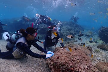 ダイビングショップ Sea Free（シーフリー）に投稿された画像（2020/2/11）