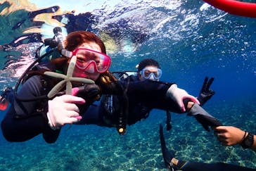 ダイビングショップ Sea Free（シーフリー）に投稿された画像（2020/2/11）