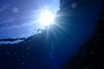 ダイビングショップ Sea Free（シーフリー）に投稿された画像（2020/2/11）