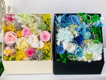 ずこうしつ〜sugamo〜に投稿された画像（2020/2/11）