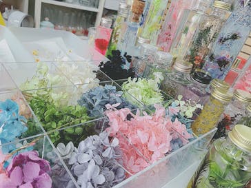 ずこうしつ〜sugamo〜に投稿された画像（2020/2/12）