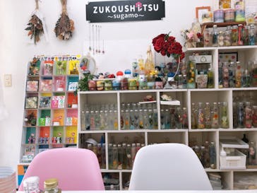 ずこうしつ〜sugamo〜に投稿された画像（2020/2/12）