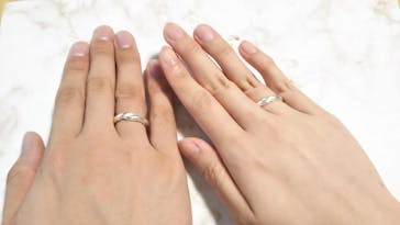 銀のイルカに投稿された画像（2020/2/12）