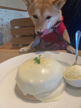 わんダフルネイチャーヴィレッジに投稿された画像（2020/2/12）