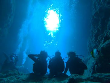 武藤潜水に投稿された画像（2020/2/12）