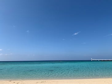 DIVING-SHOP SUNSに投稿された画像（2020/2/12）