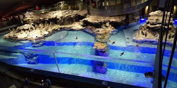 すみだ水族館に投稿された画像（2020/2/12）