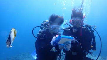 ダイビングショップ Sea Free（シーフリー）に投稿された画像（2020/2/13）