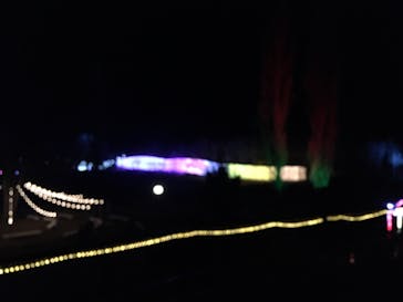 KYOTO ILLUMINATION SYNESTHESIA HILLS るり渓温泉に投稿された画像（2020/2/13）