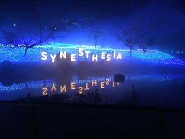 KYOTO ILLUMINATION SYNESTHESIA HILLS るり渓温泉に投稿された画像（2020/2/13）