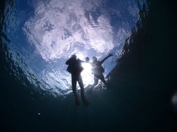 ドロップイン 沖縄に投稿された画像（2020/2/14）