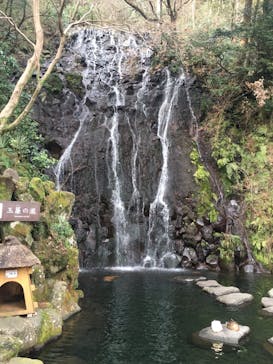 箱根湯本温泉 天成園に投稿された画像（2020/2/14）