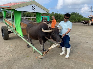 西表島 ADVENTURE PiPi（アドベンチャーピピ）に投稿された画像（2020/2/14）