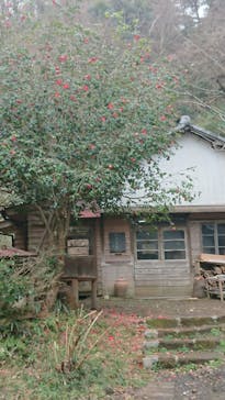 たからの窯に投稿された画像（2020/2/14）