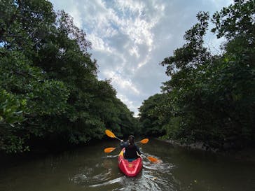 西表島 ADVENTURE PiPi（アドベンチャーピピ）に投稿された画像（2020/2/14）