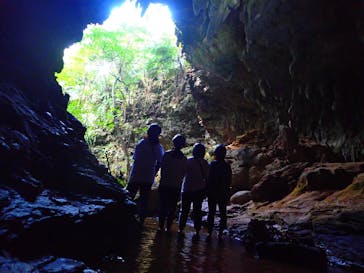 西表島 ADVENTURE PiPi（アドベンチャーピピ）に投稿された画像（2020/2/14）