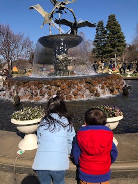 ふなばしアンデルセン公園に投稿された画像（2020/2/14）