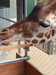 しろとり動物園に投稿された画像（2020/2/15）