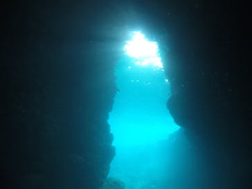 武藤潜水に投稿された画像（2020/2/15）