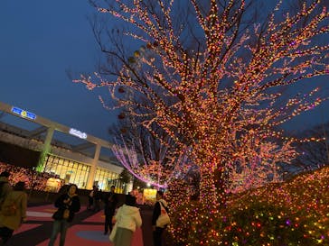 よみうりランド 遊園地に投稿された画像（2020/2/15）