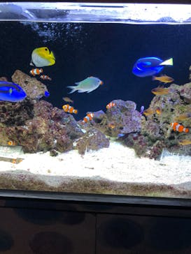 京都水族館に投稿された画像（2020/2/16）