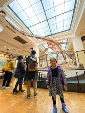 国立科学博物館に投稿された画像（2020/2/17）