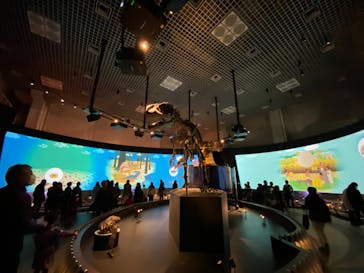 国立科学博物館に投稿された画像（2020/2/17）