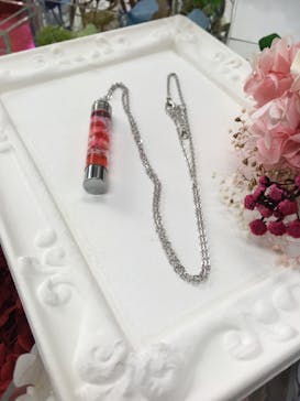 ずこうしつ〜sugamo〜に投稿された画像（2020/2/17）