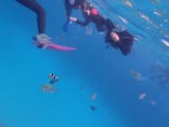 ダイビングショップ Sea Free（シーフリー）に投稿された画像（2020/2/17）