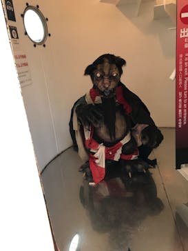 妖怪美術館に投稿された画像（2020/2/17）