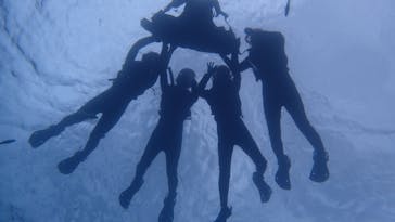 ダイビングショップ Sea Free（シーフリー）に投稿された画像（2020/2/18）