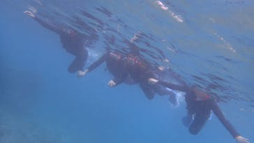 ダイビングショップ Sea Free（シーフリー）に投稿された画像（2020/2/18）