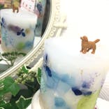 ずこうしつ〜sugamo〜に投稿された画像（2020/2/18）