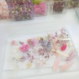 ずこうしつ〜sugamo〜に投稿された画像（2020/2/18）