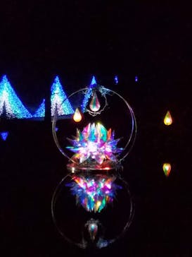 KYOTO ILLUMINATION SYNESTHESIA HILLS るり渓温泉に投稿された画像（2020/2/18）