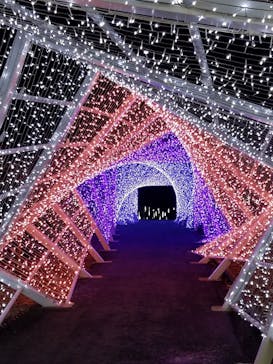 KYOTO ILLUMINATION SYNESTHESIA HILLS るり渓温泉に投稿された画像（2020/2/18）