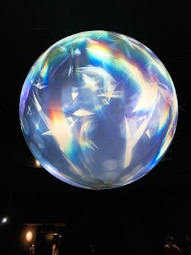 NIFREL（ニフレル）に投稿された画像（2020/2/19）